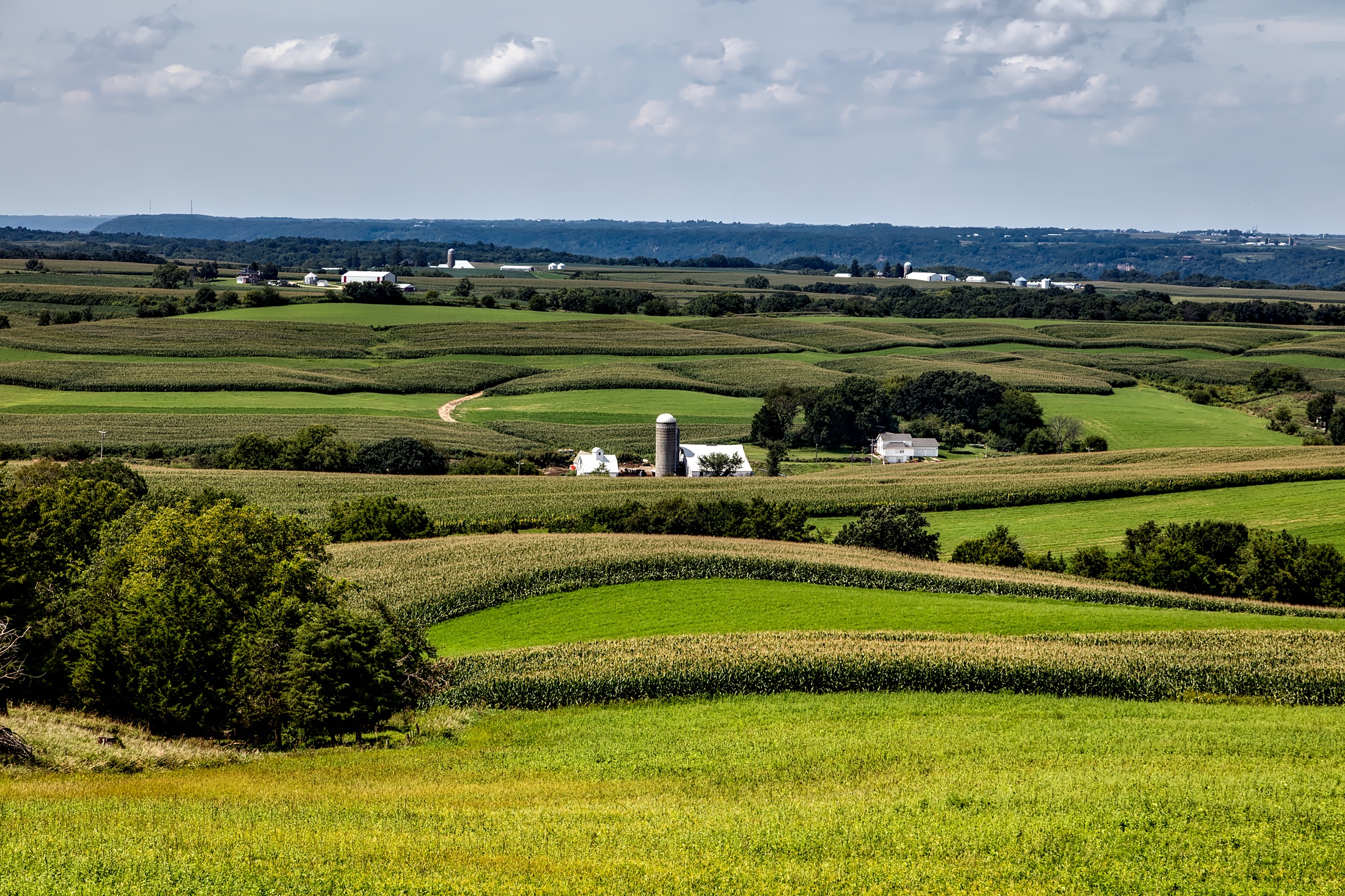 Iowa farm land